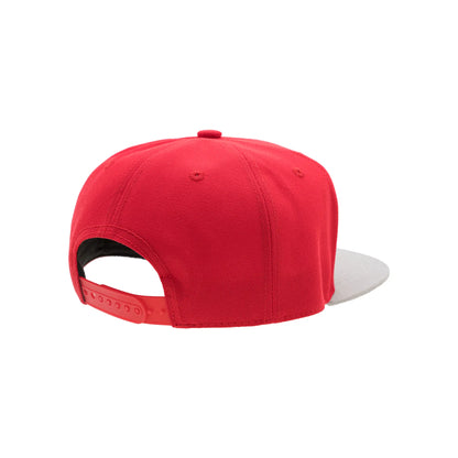 Skateboard Graphic Snapback Cap