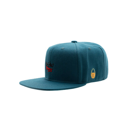 Skateboard Graphic Snapback Cap