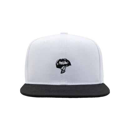 Graphic Embroidered Flat Bill Cap