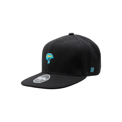 Graphic Embroidered Flat Bill Cap