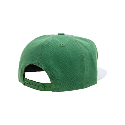 Graphic Embroidered Flat Bill Cap